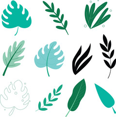 Collection of Diverse Tropical Leaves and Botanical Elements in Various Colors leaf plant