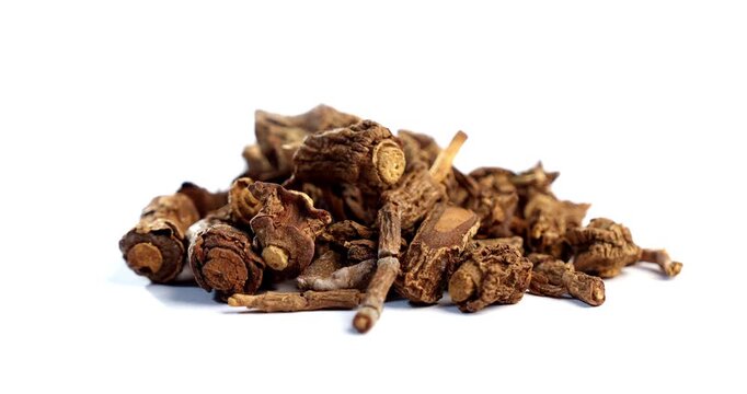 Syplocos racemosa, Lodhra is an Ayurvedic herb used in bleeding disorders, diarrhea eye disorders