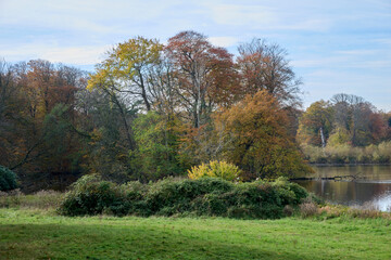 autumn view at the pond in the Wassenaarse Horsten
