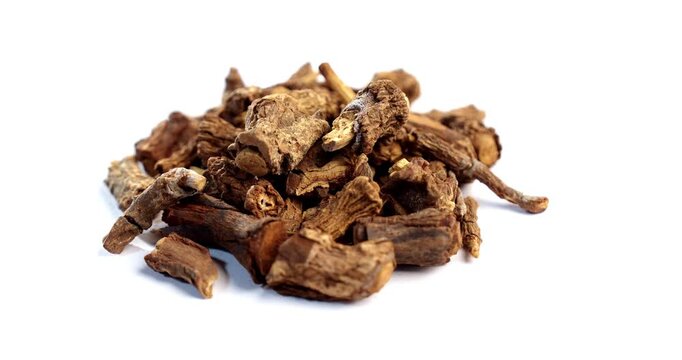 Syplocos racemosa, Lodhra is an Ayurvedic herb used in bleeding disorders, diarrhea eye disorders