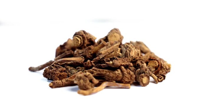 Syplocos racemosa, Lodhra is an Ayurvedic herb used in bleeding disorders, diarrhea eye disorders