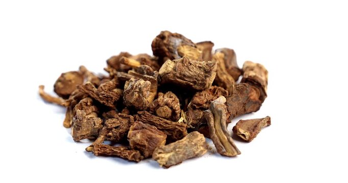 Syplocos racemosa, Lodhra is an Ayurvedic herb used in bleeding disorders, diarrhea eye disorders