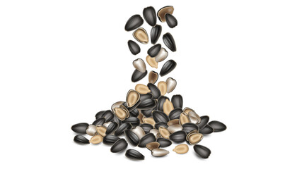 Falling and scattered black sunflower seeds on white background, close-up