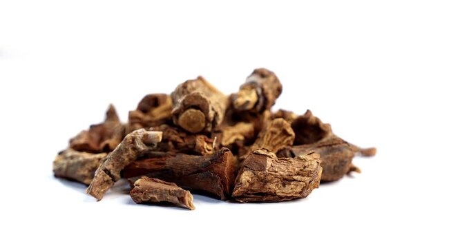 Syplocos racemosa, Lodhra is an Ayurvedic herb used in bleeding disorders, diarrhea eye disorders