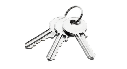 Clean studio shot of three identical silver keys on a sturdy metallic ring, representing access, ownership, and crucial security elements on white
