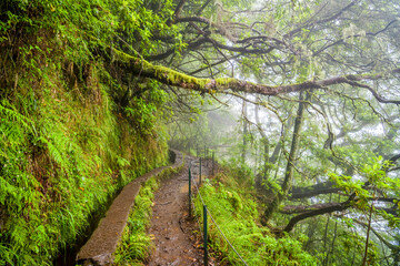 Jungle style walking trail next to irrigation canal Levada do Caldeirao Verde in Madeira