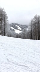 Fototapeta premium Snow blankets the mountains, while a soft fog covers the valley below, creating a peaceful winter scene in nature