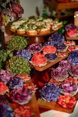 Vibrant Floral-Inspired Appetizers and Buffet Spread on a party catering setting