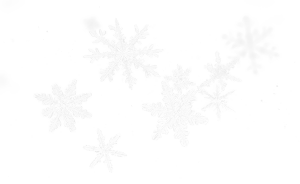 Glitter snowflake . Snowflake icon. Design for decorating,background, wallpaper, illustration. Png
 - Powered by Adobe