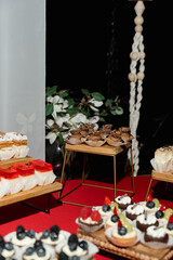 Assortment of Delicious Mini Fruit and Chocolate Desserts