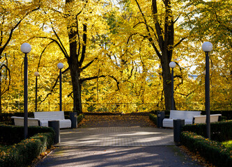 Tallinn old town in autumn colors