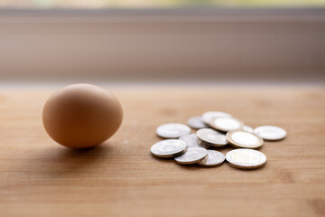 A single brown egg sits on a wooden surface beside a small scattered pile of coins, creating a simple, minimalistic composition with soft natural light.