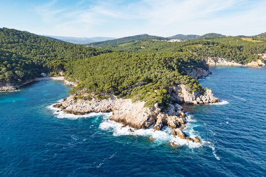Aerial view of dramatic rocky coastline with pine forest and clear blue sea on a sunny day. Coastal landscape with rugged cliffs and Mediterranean vegetation