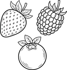 Strawberry, Raspberry, and Blueberry Vector Art, Mixed Berries Sketch for Organic Food, Dessert, or Healthy Diet