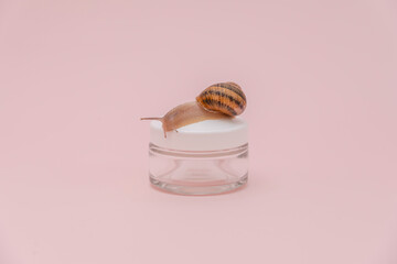 Cosmetics bottle with snail on it. Mockup for brand. Skin care, spa, luxury cosmetic, natural beauty product