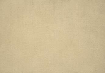 Fototapeta premium A smooth, neutral-toned canvas surface is displayed, ideal for various art projects or home decor. The soft texture enhances creativity and crafting possibilities.