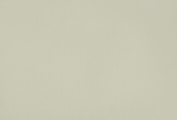 Light gray fabric features a subtle texture that adds warmth and elegance to any space. Ideal for upholstery, curtains, or crafting projects in interior design.
