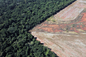 Aerial view of lush green rainforest meeting stark brown deforested land showing environmental impact © Tayiba Studio