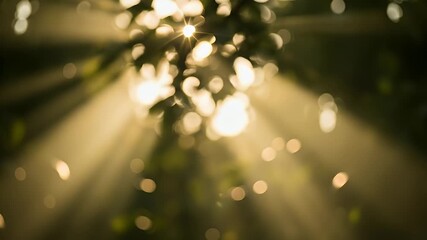 An enchanting, out-of-focus scene captures golden light rays piercing through a natural backdrop, creating a beautiful bokeh effect and subtle lens flares. Sunlight filters gently through blurred foli - Powered by Adobe
