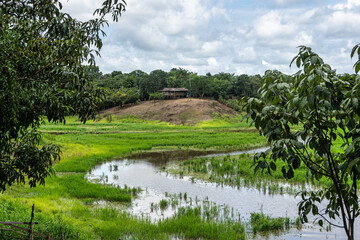 Fototapeta premium River boat trip at Parana do Mamori in the Amazon rainforest about 100 km south of Manaus in Brazil