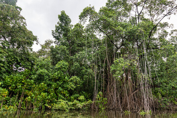 Boat trip on the Preguica River from Barreirinhas, Lencois Maranhenses to Atins, Maranhao, Brazil