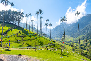 views of cocora valley, Colombia © jon_chica
