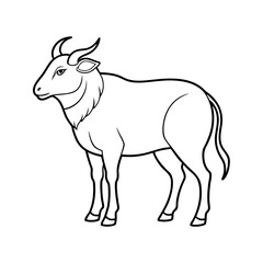 Takin Outline Vector Illustration