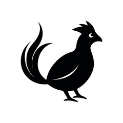 Turaco Black Silhouette Vector Illustration