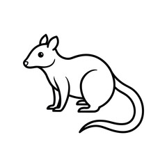 Quoll Outline Vector Illustration