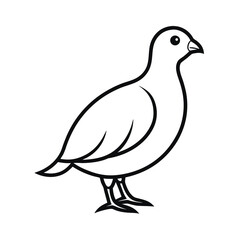 Snow Partridge Outline Vector Illustration