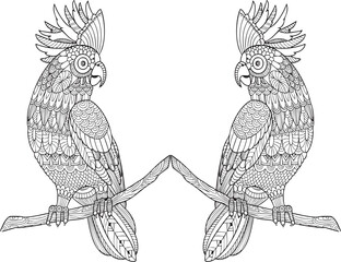 Cockatiel symmetric design