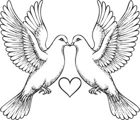 Dove symmetric design