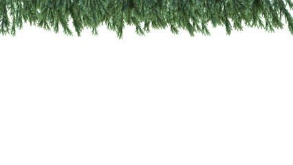 A green garland on a white background