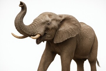Fototapeta premium Expressive Elephant Close-Up with Detailed Trunk Gesture, Emotional Wildlife Big Mammal