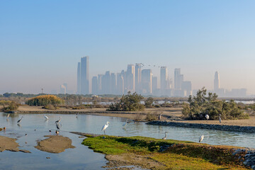  calm view of birds and wetlands at Ras Al Khor Wildlife Sanctuary in Dubai. The city skyline in the background highlights the mix of nature and urban life
