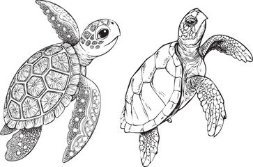 Tortoise shell silhouette vector design set