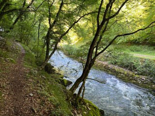 The signposted path “Along the Rjecina” trail (Rijeka, Croatia) - Markirana pješačko-izletnička staza “Šetnica uz Rječinu” (Ričina ili Rečina) ili šetnica Rječina (Rijeka, Hrvatska)