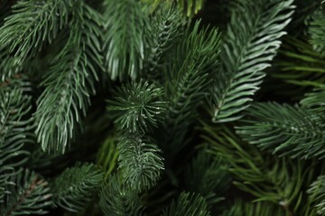 Branches of artificial Christmas tree as background, macro view
