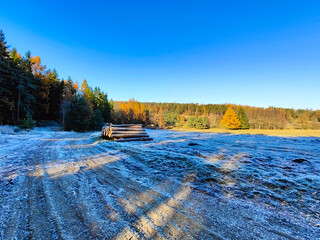 A pile of logs sitting on top of a snow covered field