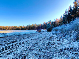 A field covered in frost with trees in the background