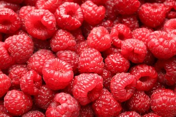 Fresh ripe raspberries as background, closeup view