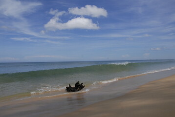 Bor Dan Beach_driftwood_wave1