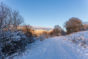 Snow-Covered Country Road in Morning Light, Rh&ouml;n Region, Germany