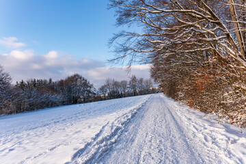 Snowy Path Leading through Winter Landscape, Rh&ouml;n Region, Germany