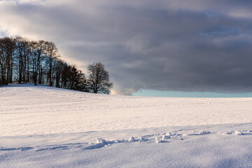 Snowy Field and Bare Trees under Dramatic Winter Sky, Rh&ouml;n Germany