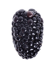 Ripe blackberry isolated on white background with clipping path