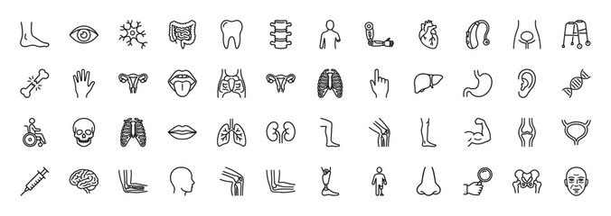 Medical and anatomy line icon set. Vector pictograms of heart, brain, skeleton, and internal organs, thin linear illustration.