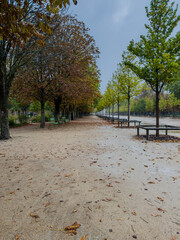 Beautiful view of Tuileries Garden in Paris France, showcasing vibrant autumn colors, iconic pathways, and the stunning backdrop of historic city landmarks