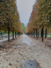 Beautiful view of Tuileries Garden in Paris France, showcasing vibrant autumn colors, iconic pathways, and the stunning backdrop of historic city landmarks
