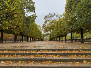 Beautiful view of Tuileries Garden in Paris France, showcasing vibrant autumn colors, iconic pathways, and the stunning backdrop of historic city landmarks